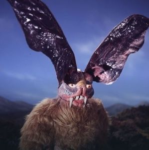 Meet your Posher, Mason